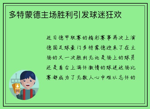 多特蒙德主场胜利引发球迷狂欢